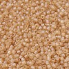 MIYUKI Delica Beads Small X-SEED-J020-DBS0852-3