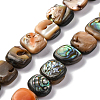 1 Strand Natural Paua Shell Beads Strands BSHE-PA0001-07-8