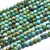 Natural Turquoise Beads Strands G-P438-C06-2mm-1