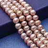 Natural Cultured Freshwater Pearl Beads Strands PEAR-P060-22A-1