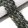 Natural Moss Agate Beads Strands G-Q194-B03-01-2