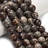 Natural Astroite Jasper Beads Strands G-H329-C02-10mm-1
