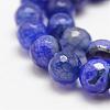 Faceted Natural Dragon Veins Agate Beads Strands G-F447-10mm-E01-3