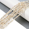 Natural Freshwater Shell Beads Strands X-BSHE-H109-13A-2
