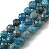 Natural Apatite Beads Strands G-G927-32-6MM-1