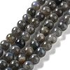 Natural Labradorite Beads Strands G-S333-8mm-035-1