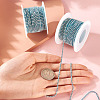 2 Roll Electrophoresis Iron Rhinestone Strass Chains CHC-TA0001-38B-6