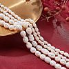  4Strands 2 Styles Natural Cultured Freshwater Pearl Beads Strands PEAR-NB0001-64-6