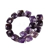 Natural Amethyst Beads Strands G-T138-168-2