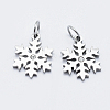 Eco-Friendly 316 Surgical Stainless Steel Micro Pave Cubic Zirconia Charms RB-I078-71P-NR-1