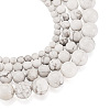 4 Strands 4 Style Natural Howlite Beads Strands G-TA0001-34-2