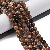 Natural Black Moonstone Beads Strands G-A219-A01-02-6