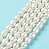 Natural Cultured Freshwater Pearl Beads Strands PEAR-Z002-21-2