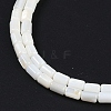 Natural Freshwater Shell Beads Strands BSHE-H109-17A-4