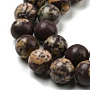 Natural Cherry Blossom Jasper Beads Strands G-C079-A02-04-4