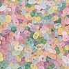 FGB Frosted Transparent Glass Seed Beads SEED-N013-06A-3