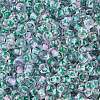 Transparent Inside Colours Glass Seed Beads SEED-A032-04H-3