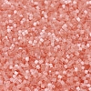 MIYUKI Delica Beads SEED-J020-DB0825-3