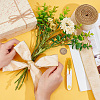Single Face Velvet Wired Ribbon OCOR-WH0078-222A-02-3