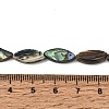 Natural Abalone Shell Paua Shell Beads Strands SH-CBA69D1-01-4