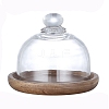 Glass Dome Cloche Cover PW-WG67980-01-1