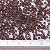 MIYUKI Round Rocailles Beads X-SEED-G007-RR4503-3