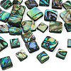 30Pcs 3 Styles Natural Paua Shell Beads BSHE-TA0001-37-3