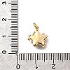 Brass Micro Pave Cubic Zirconia Pendants KK-Q043-03G-01-2