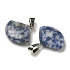 Natural Blue Spot Jasper Pendants G-Z067-05P-04-2