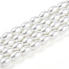 Baking Paint Pearlized Glass Pearl Bead Strands HY-T002-01A-01-3