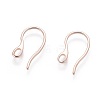 304 Stainless Steel Earring Hooks STAS-O110-19RG-2
