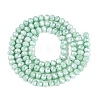 Anti-Tarnish Dyed Rondelle Glass Beads Strands EGLA-T021-3mm-17-08-2