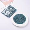 3000Pcs Glass Seed Beads SEED-PA0001-29A-03-4