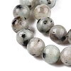 Natural Sesame Jasper/Kiwi Jasper Bead Strands G-R345-8mm-36-4