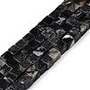 Natural Black Netstone Beads Strands G-T139-6x6-24A-4