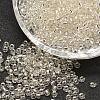 8/0 Transparent Glass Round Seed Beads X-SEED-J010-F8-21-1