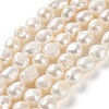 Natural Cultured Freshwater Pearl Beads Strands PEAR-Z002-02-1