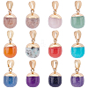 Olycraft 12Pcs 12 Style Top Golden Plated Mixed Gemstone Pendants G-OC0003-16-1