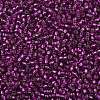 TOHO 8/0 Round Beads SEED-TR08-2223-2