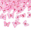 40Pcs 5 Style Polyester Computerized Embroidery Sew on Ornament Accessories DIY-TA0009-39-3