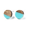 Opaque Resin & Walnut Wood Stud Earrings EJEW-N017-008-B07-2