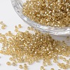 12/0 Silver Lined Round Glass Seed Beads SEED-K003-2mm-M07-03-1