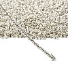 12/0 Electroplate Glass Seed Beads SEED-Q003-S-3