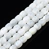 Natural Trochid Shell/Trochus Shell Beads Strands SSHEL-N034-121-B01-1