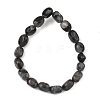 Natural Larvikite Beads Strands GG-C286-A28-4