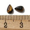 Natural Tiger Eye Cabochons G-Q173-02A-04-3