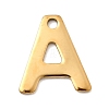 304 Stainless Steel Charms STAS-B093-12G-2