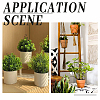 12Pcs 2 Styles Plastic Plant Climbing Trellis AJEW-GO0005-49-5