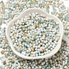 Baking Paint Glass Seed Beads SEED-F005-01A-06-2