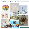 135Pcs 5 Size Natural Conch Shell Beads BSHE-PH0001-14-8